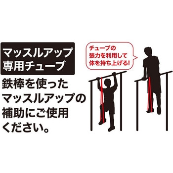 THE TUBE トレーニングチューブ ループ ハード パープル 秦運動具工業 (HATAS)