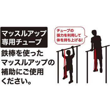 THE TUBE トレーニングチューブ ループ プロMAX オレンジ 秦運動具工業 (HATAS)