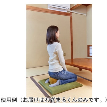 わざまるくん 正座用クッション からし 龍野コルク工業
