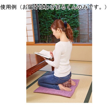 わざまるくん 正座用クッション 西陣織カバー むらさき 龍野コルク工業