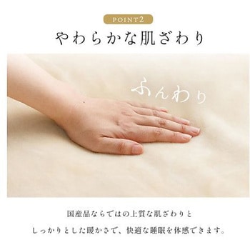 アカラ 寝具 毛布 アイボリー 140×200cm シングル イケヒコ・コーポレーション