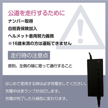 特定小型電動キックボード 折り畳み式 免許不要 公道・歩道走行可能 万方商事