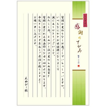 伝えるきもち便箋 エヌビー社 便箋/レターセット 【通販モノタロウ】