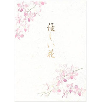 17302A 便箋 エヌビー社 56681302