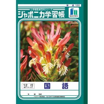 ジャポニカ学習帳 B5 国語 ショウワノート