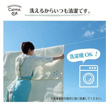 カルム 寝具 肌掛け布団 アイボリー 140×190cm シングル イケヒコ・コーポレーション