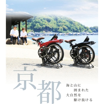 Harry Quinn PORTABLE E-BIKE(AL-FDB160E) GIC