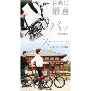 Harry Quinn PORTABLE E-BIKE(AL-FDB160E) GIC