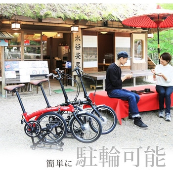 Harry Quinn PORTABLE E-BIKE(AL-FDB160E) GIC