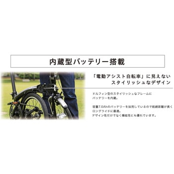 Harry Quinn PORTABLE E-BIKE(AL-FDB160E) GIC