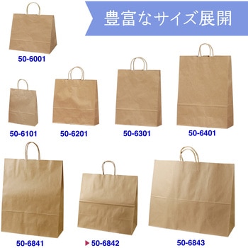 手提げ袋 未晒 クラフト 10枚 タカ印(ササガワ)