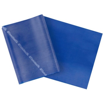 セラバンドフォーエントリー ブルー TheraBand