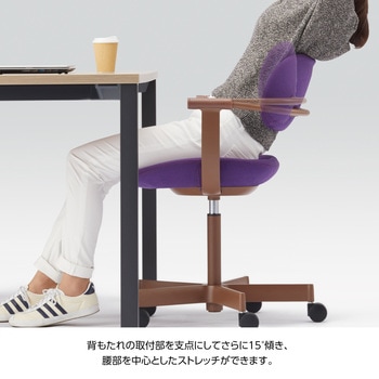 バーテブラチェア 5本脚タイプ ＜配送時組立サービス付＞ イトーキ