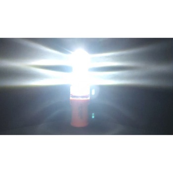 標識灯 1000B LED 電池付属 はくでん