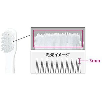ポケットドルツ 電動歯ブラシ ペールピンク Panasonic(パナソニック)