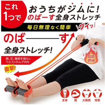 シェイプエキスパンダー グリム