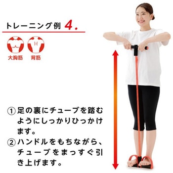 シェイプエキスパンダー グリム