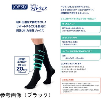 ライトウェアソックスSシロ アズワン