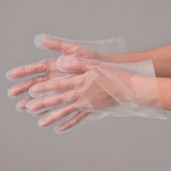 ポリグローブスカイ - エブノ