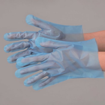 ポリグローブスカイ - エブノ