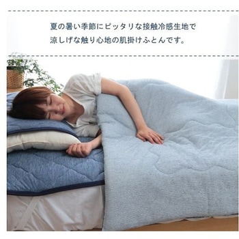 フリッシュ 寝具 肌掛け布団 ネイビー ブルー 185×185cm ダブル イケヒコ・コーポレーション