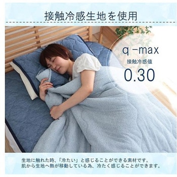 フリッシュ 寝具 肌掛け布団 ネイビー ブルー 185×185cm ダブル イケヒコ・コーポレーション
