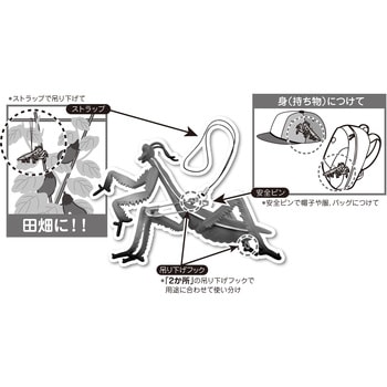 イヤ～な虫の天敵 カマキリ MIKI LOCOS