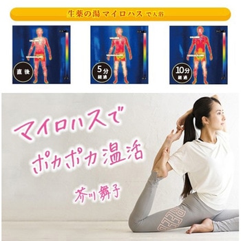 薬用入浴剤 生薬の湯 マイロハス(医薬部外品)[医薬部外品販売名：きよながG] 日本フイリン