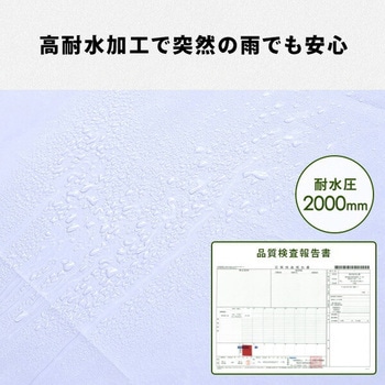 ワンタッチタープテント 3×6m サイドシート4枚付き YAMAZEN(山善)