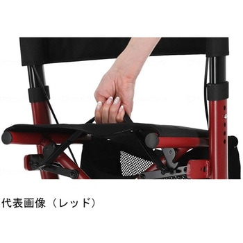 ラ・プロムナードⅡ レッド 中央化成品