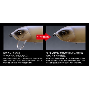 ライザージャック ジュニア フィッシュアロー
