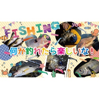 ピクシーシャッド 1.6 ドリームアップ