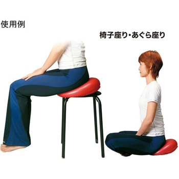 バランスディスク 秦運動具工業 (HATAS)