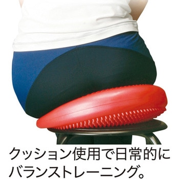 バランスディスク 秦運動具工業 (HATAS)