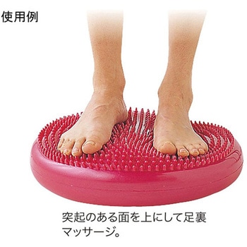 バランスディスク 秦運動具工業 (HATAS)