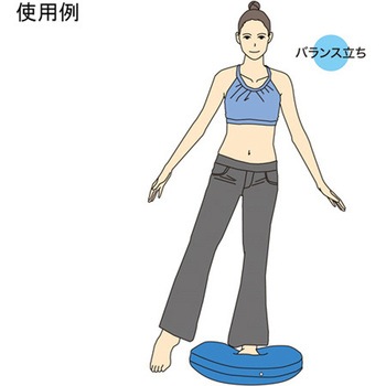 バランスディスク ビッグ 秦運動具工業 (HATAS)