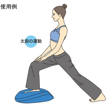 バランスディスク ビッグ 秦運動具工業 (HATAS)