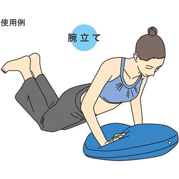 バランスディスク ビッグ 秦運動具工業 (HATAS)