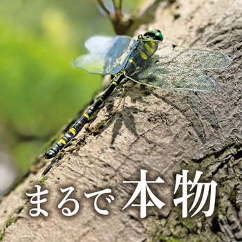 シン・オニヤンマ 安全ピン&ストラップパーツ付き ZATTA