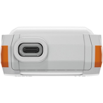 温度計  110 Food testo(テストー)