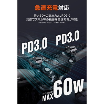 USB電源STD PD 2ポート - DAYTONA(デイトナ)