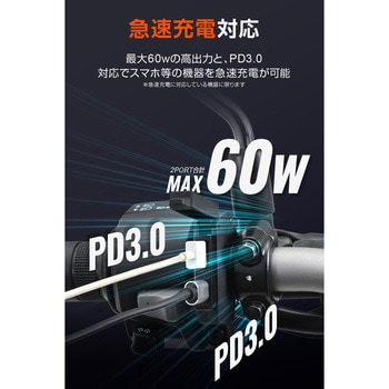 USB電源SLIM PD 2ポート DAYTONA(デイトナ)
