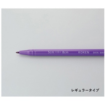 スキンマーカー レギュラー 太 100本 高研