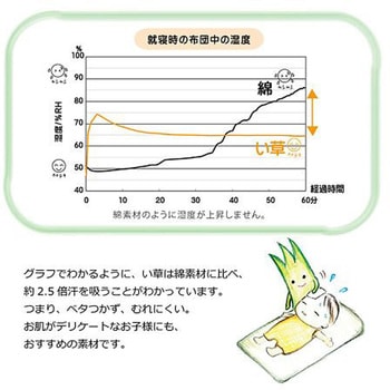 デニムスター 寝具 ベビー敷きパッド ブルー 70×120cm イケヒコ・コーポレーション