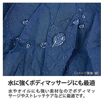 ペーパートランクス ブラウン 1箱 500枚入 フィフティ・ヴィジョナリー