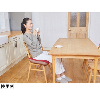 ビーズクッション ヨイチ ボルドー 龍野コルク工業