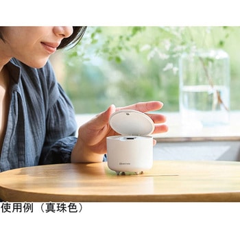 ファン式アロマディフューザー AROMAFUN 灰桜 リズム