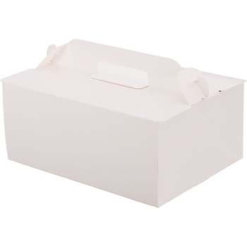 105 OPL パッケージ中澤