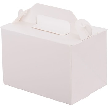 105 OPL パッケージ中澤