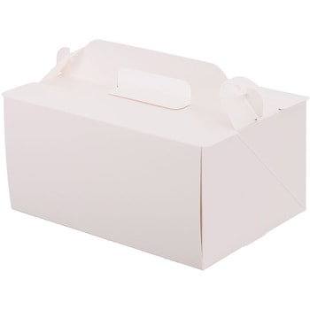 105 OPL パッケージ中澤